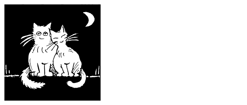 Stichting Zwerfkatten Rijnmond